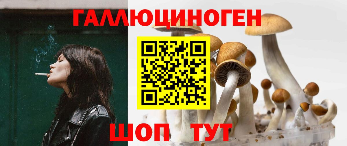 дарнет шоп  Вход с VPN  Асино  Галлюциногенные грибы MAGIC MUSHROOMS 
